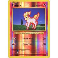 Ponyta 19/108 XY Evolutions Reverse Holo Common Pokemon Card NEAR MINT TCG