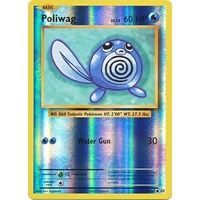Poliwag 23/108 XY Evolutions Reverse Holo Common Pokemon Card NEAR MINT TCG