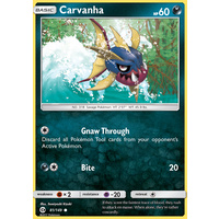 Carvanha 81/149 SM Base Set Common Pokemon Card NEAR MINT TCG