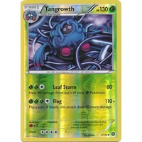 Tangrowth 2/114 XY Steam Siege Reverse Holo Uncommon Pokemon Card NEAR MINT TCG