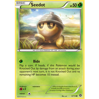 Seedot 9/114 XY Steam Siege Common Pokemon Card NEAR MINT TCG