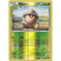 Seedot 9/114 XY Steam Siege Reverse Holo Common Pokemon Card NEAR MINT TCG