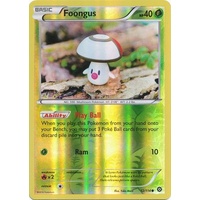 Foongus 12/114 XY Steam Siege Reverse Holo Common Pokemon Card NEAR MINT TCG