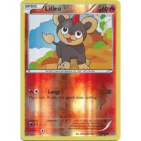 Litleo 22/114 XY Steam Siege Reverse Holo Common Pokemon Card NEAR MINT TCG