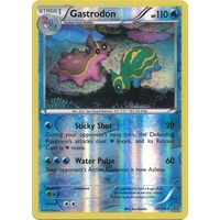 Gastrodon 29/114 XY Steam Siege Reverse Holo Rare Pokemon Card NEAR MINT TCG