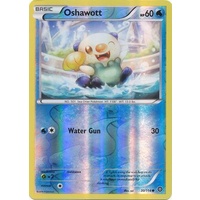 Oshawott 30/114 XY Steam Siege Reverse Holo Common Pokemon Card NEAR MINT TCG