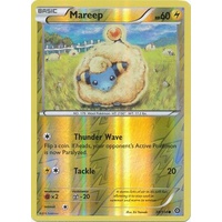 Mareep 38/114 XY Steam Siege Reverse Holo Common Pokemon Card NEAR MINT TCG