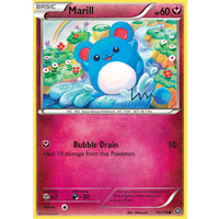 Marill 76/114 XY Steam Siege Common Pokemon Card NEAR MINT TCG