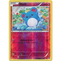Marill 76/114 XY Steam Siege Reverse Holo Common Pokemon Card NEAR MINT TCG