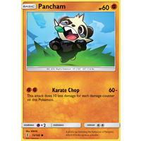 Pancham 72/145 SM Guardians Rising Common Pokemon Card MINT TCG
