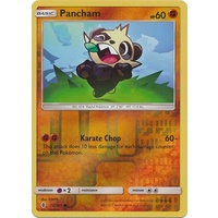 Pancham 72/145 SM Guardians Rising Reverse Holo Common Pokemon Card MINT TCG