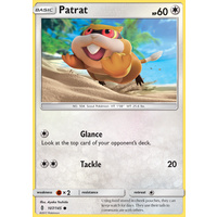 Patrat 107/145 SM Guardians Rising Common Pokemon Card MINT TCG