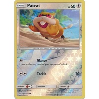 Patrat 107/145 SM Guardians Rising Reverse Holo Common Pokemon Card MINT TCG
