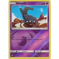 Salandit 46/111 SM Crimson Invasion Reverse Holo Common Pokemon Card MINT TCG