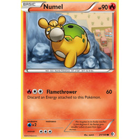 Numel 21/149 BW Boundaries Crossed Common Pokemon Card NEAR MINT TCG