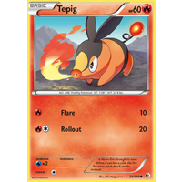 Tepig 24/149 BW Boundaries Crossed Common Pokemon Card NEAR MINT TCG