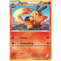 Pignite 25/149 BW Boundaries Crossed Uncommon Pokemon Card NEAR MINT TCG
