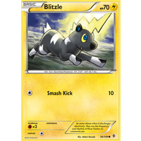Blitzle 56/149 BW Boundaries Crossed Common Pokemon Card NEAR MINT TCG