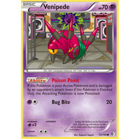 Venipede 72/149 BW Boundaries Crossed Common Pokemon Card NEAR MINT TCG