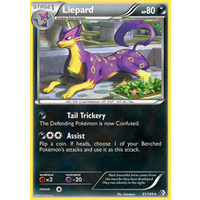 Liepard 91/149 BW Boundaries Crossed Holo Rare Pokemon Card NEAR MINT TCG