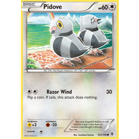 Pidove 123/149 BW Boundaries Crossed Common Pokemon Card NEAR MINT TCG