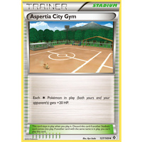 Aspertia City Gym 127/149 BW Boundaries Crossed Uncommon Trainer Pokemon Card NEAR MINT TCG