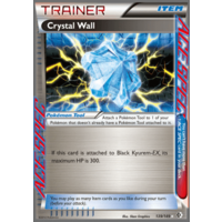 Crystal Wall 139/149 BW Boundaries Crossed Holo Rare Ace Spec Trainer Pokemon Card NEAR MINT TCG