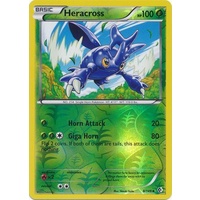 Heracross 8/149 BW Boundaries Crossed Reverse Holo Uncommon Pokemon Card NEAR MINT TCG