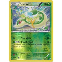 Servine 12/149 BW Boundaries Crossed Reverse Holo Uncommon Pokemon Card NEAR MINT TCG
