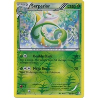 Serperior 13/149 BW Boundaries Crossed Reverse Holo Rare Pokemon Card NEAR MINT TCG
