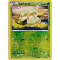 Cottonee 14/149 BW Boundaries Crossed Reverse Holo Common Pokemon Card NEAR MINT TCG