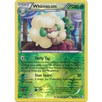 Whimsicott 15/149 BW Boundaries Crossed Reverse Holo Rare Pokemon Card NEAR MINT TCG