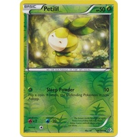 Petilil 16/149 BW Boundaries Crossed Reverse Holo Uncommon Pokemon Card NEAR MINT TCG
