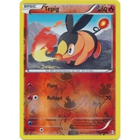 Tepig 24/149 BW Boundaries Crossed Reverse Holo Common Pokemon Card NEAR MINT TCG