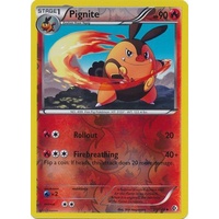Pignite 25/149 BW Boundaries Crossed Reverse Holo Uncommon Pokemon Card NEAR MINT TCG