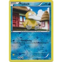 Psyduck 33/149 BW Boundaries Crossed Reverse Holo Common Pokemon Card NEAR MINT TCG