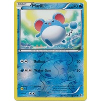 Marill 36/149 BW Boundaries Crossed Reverse Holo Common Pokemon Card NEAR MINT TCG