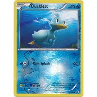Ducklett 42/149 BW Boundaries Crossed Reverse Holo Common Pokemon Card NEAR MINT TCG