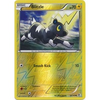 Blitzle 56/149 BW Boundaries Crossed Reverse Holo Common Pokemon Card NEAR MINT TCG
