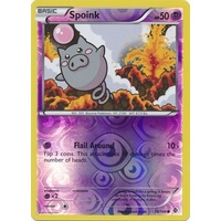 Spoink 59/149 BW Boundaries Crossed Reverse Holo Common Pokemon Card NEAR MINT TCG