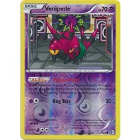 Venipede 72/149 BW Boundaries Crossed Reverse Holo Common Pokemon Card NEAR MINT TCG