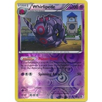 Whirlipede 73/149 BW Boundaries Crossed Reverse Holo Uncommon Pokemon Card NEAR MINT TCG
