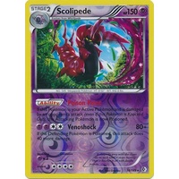 Scolipede 74/149 BW Boundaries Crossed Reverse Holo Rare Pokemon Card NEAR MINT TCG