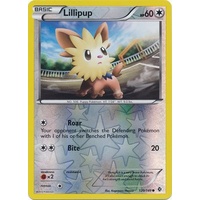 Lillipup 120/149 BW Boundaries Crossed Reverse Holo Common Pokemon Card NEAR MINT TCG