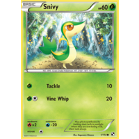 Snivy 1/114 BW Base Set Common Pokemon Card NEAR MINT TCG