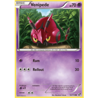 Venipede 52/114 BW Base Set Common Pokemon Card NEAR MINT TCG