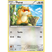 Patrat 77/114 BW Base Set Common Pokemon Card NEAR MINT TCG