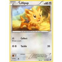 Lillipup 81/114 BW Base Set Common Pokemon Card NEAR MINT TCG