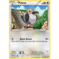 Pidove 84/114 BW Base Set Common Pokemon Card NEAR MINT TCG