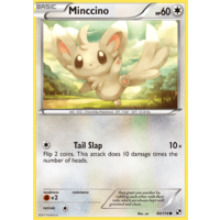 Minccino 88/114 BW Base Set Common Pokemon Card NEAR MINT TCG